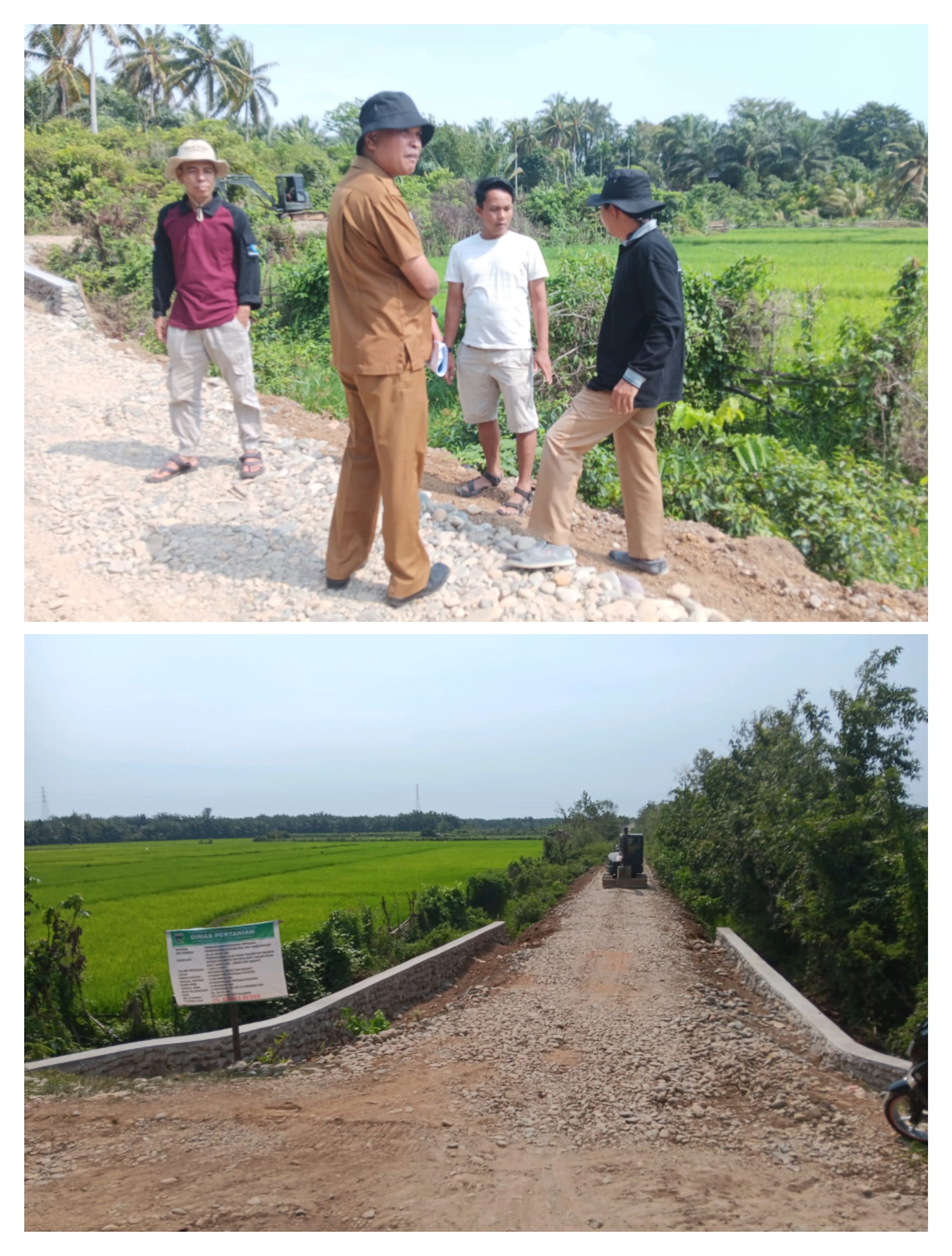 JALAN USAHA TANI MEMPERMUDAH AKSES PARA PETANI DALAM MEMPERLUAS JALUR DISTRIBUSI HASIL PERTANIAN SER