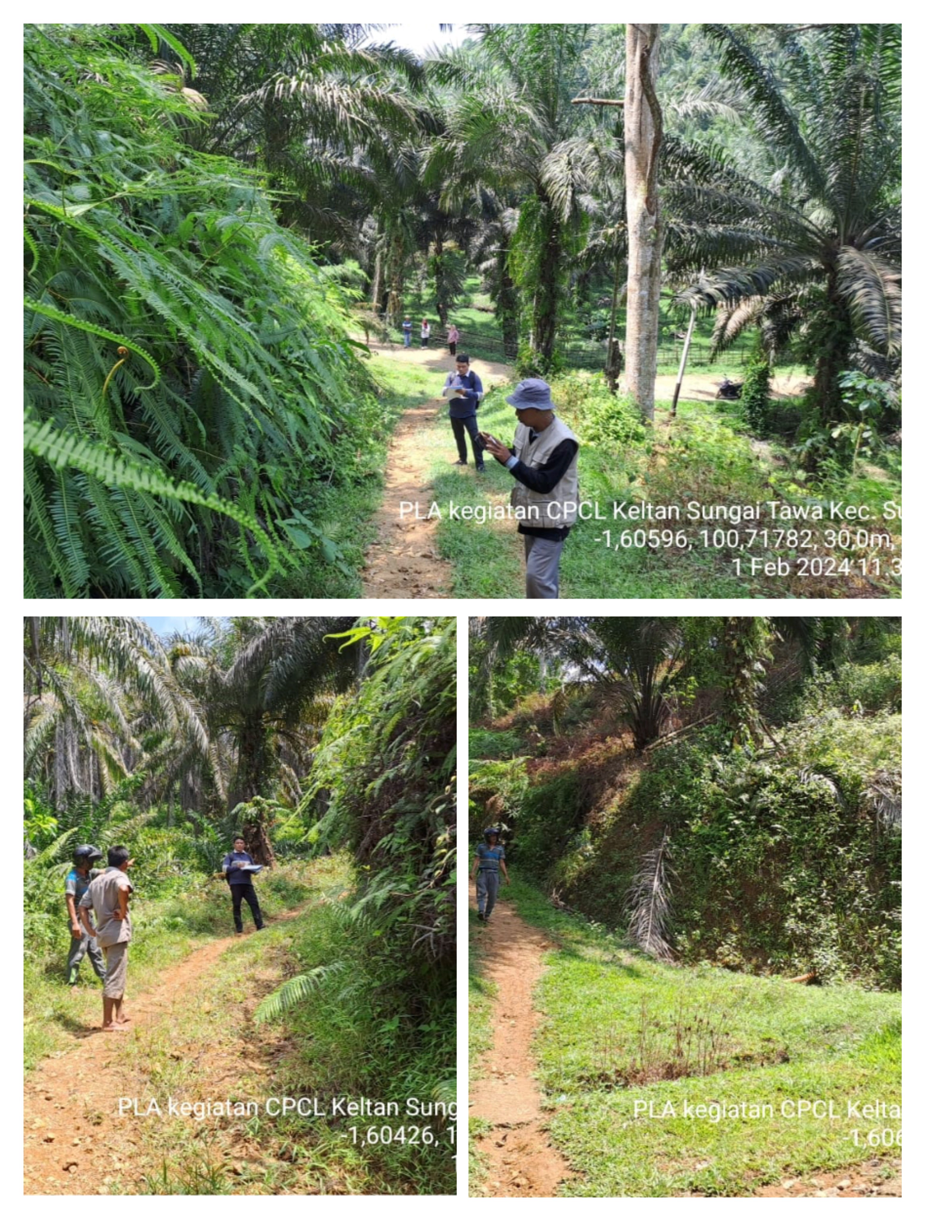 CP/CL Pembangunan, Rehabilitasi dan Pemeliharaan  Jalan Usaha Tani Kelompok Tani Sungai Tawa Nagari 