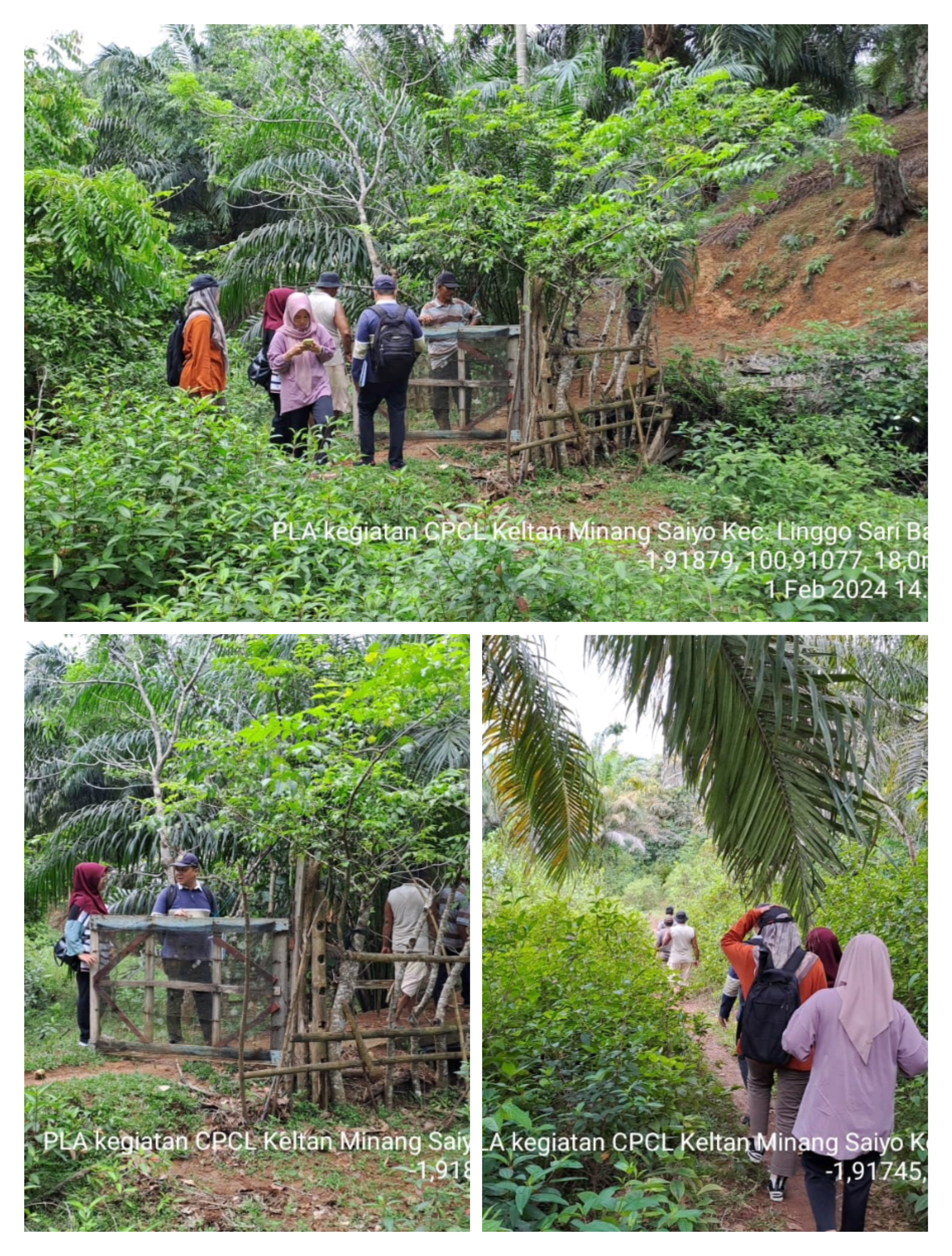 CP/CL Pembangunan, Rehabilitasi dan Pemeliharaan  Jalan Usaha Tani Kelompok Tani Minang Saiyo