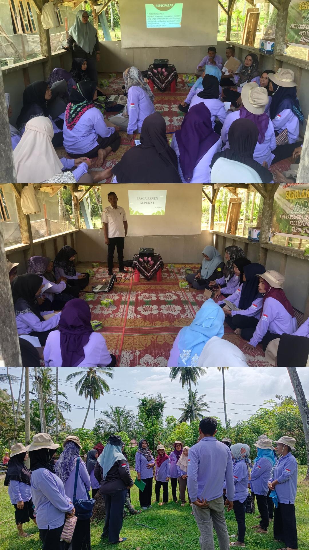 PERTEMUAN TERAKHIR SL GAP ALPUKAT DI KWT LANGSANO, NAGARI KOTO VIII PELANGAI