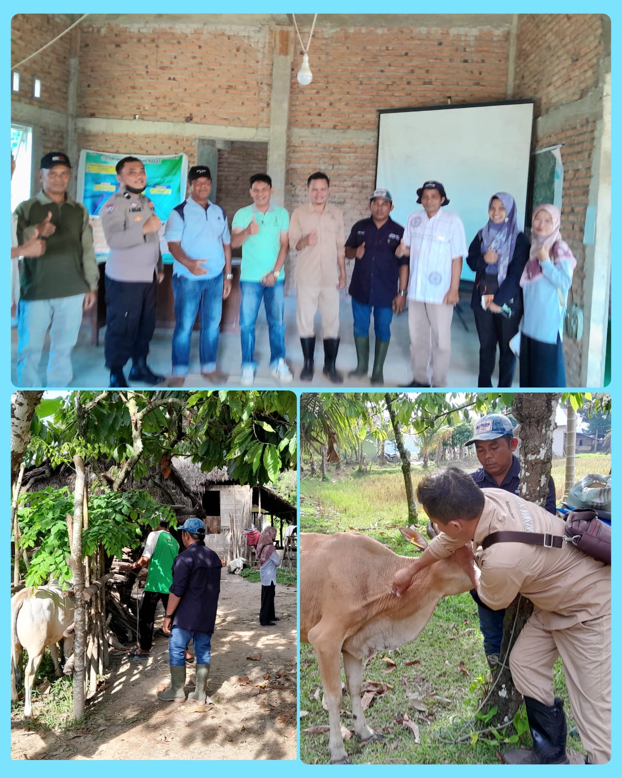 Pelayanan Vaksinasi PMK dan Penandaan ternak di Nagari Gurun Panjang Barat Kecamatan Bayang oleh Tim