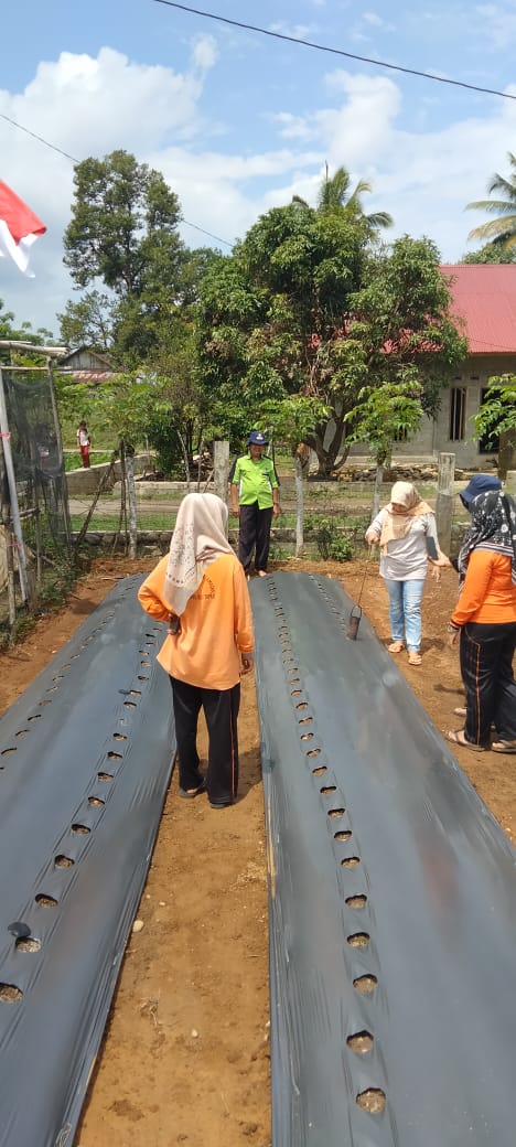 Pekarangan Kantor BPP Rahul Sebagai Tempat Latihan Penyuluh 