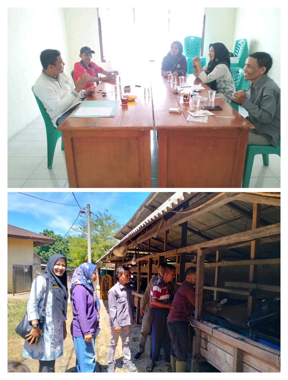 Koordinasi dengan Wali Nagari  dan Monitoring Vaksinasi Penyakit Jembrana  di  Nagari Muara Gadang A