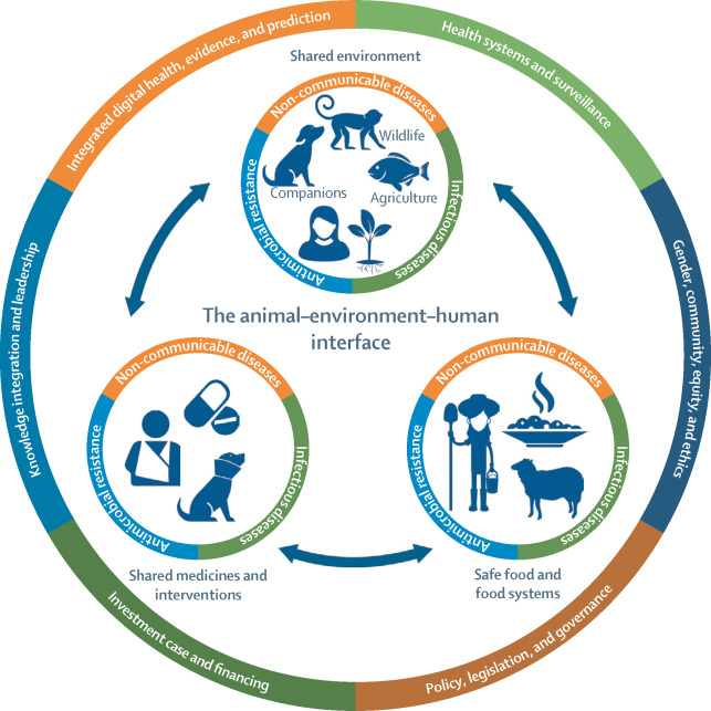 Hari Dokter Hewan Sedunia 2024: Peran Penting Dokter Hewan dalam Isu One Health