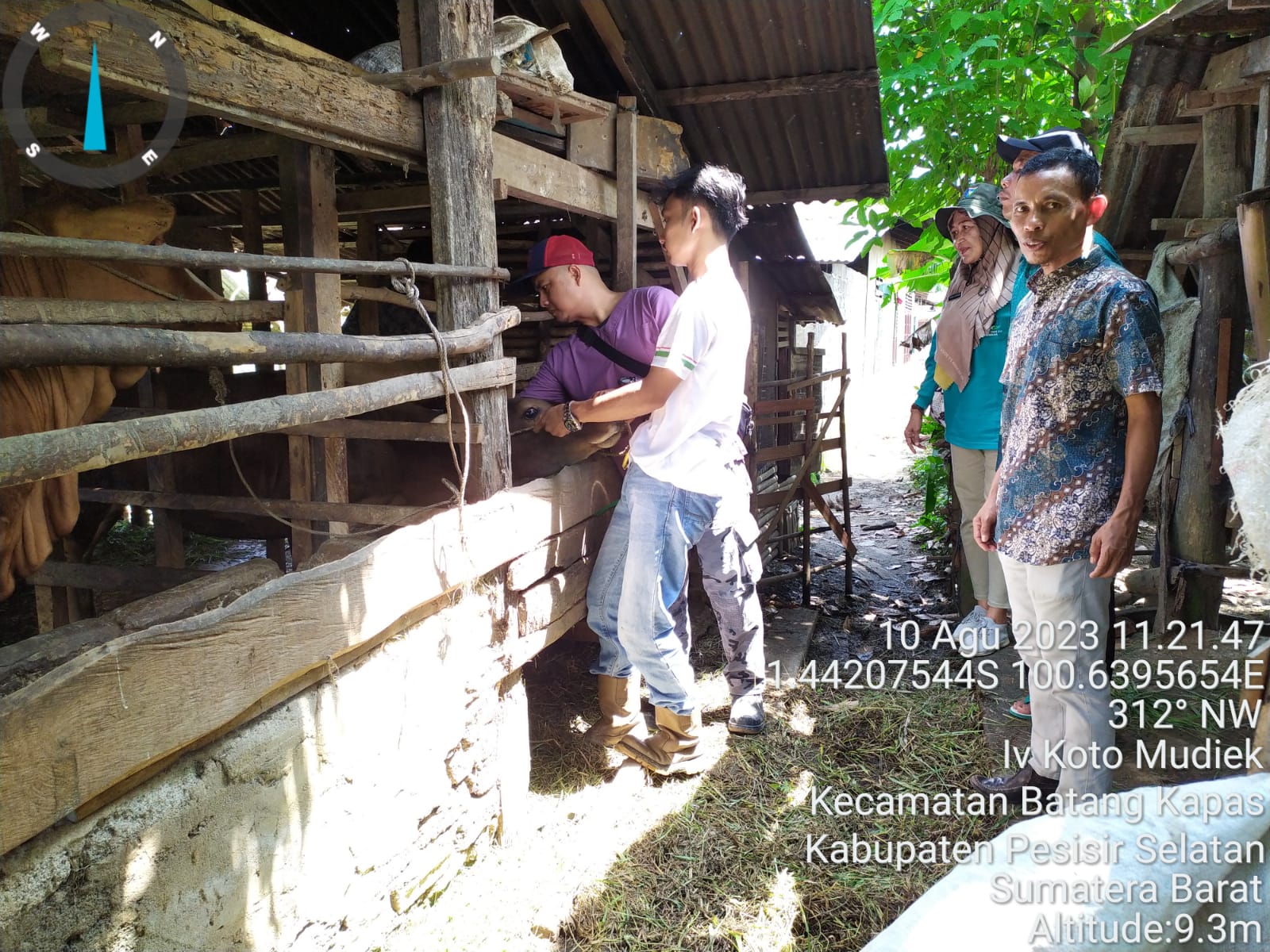 PELAKSANAAN VAKSINASI PMK DAN RABIES DI NAGARI TUIK KEC. BATANG KAPAS DI MONITOR OLEH TIM BIDANG KES