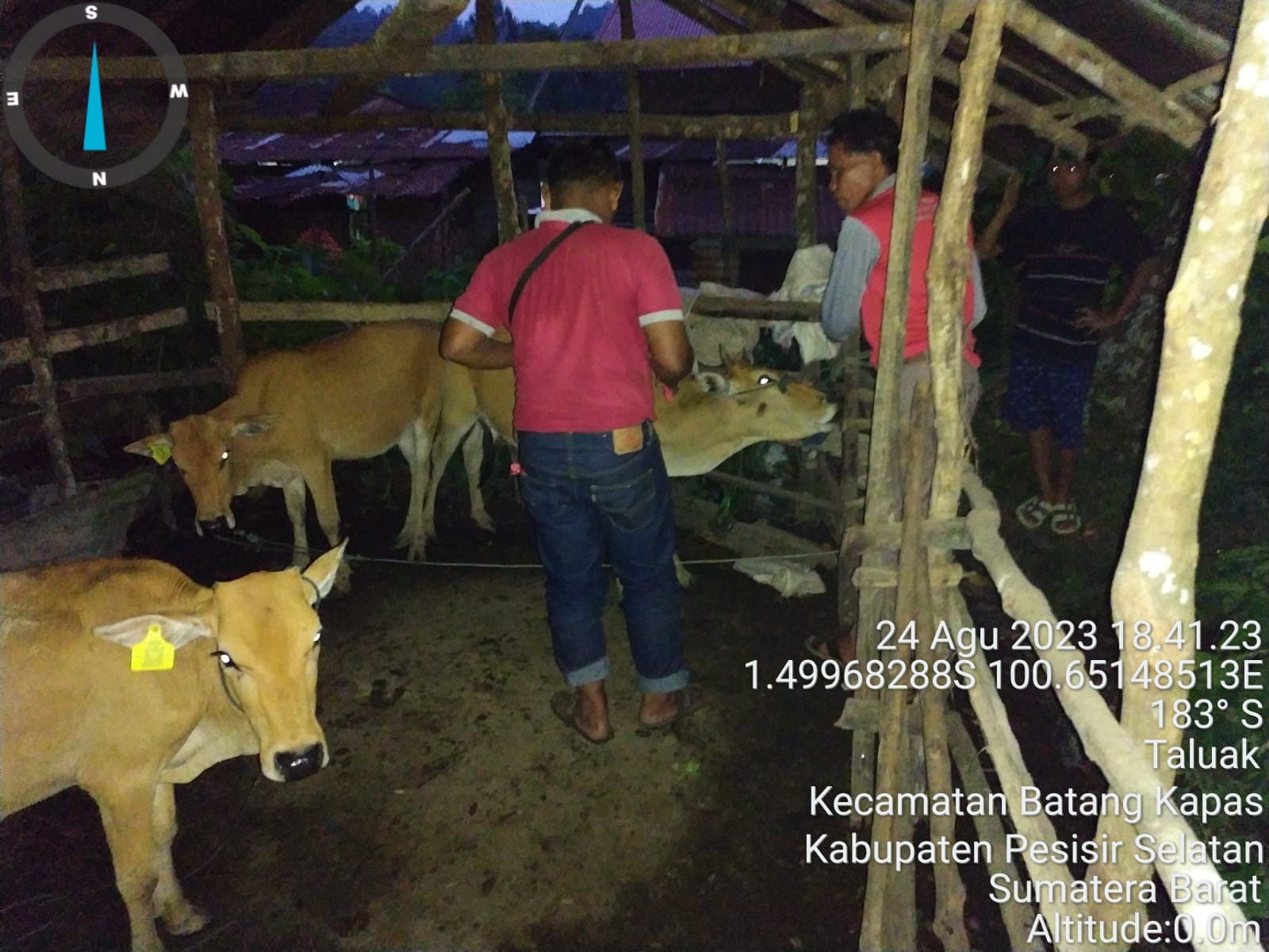 PELAKSANAAN VAKSINASI PMK DAN RABIES DI NAGARI TALUAK TIGO SAKATO TALUAK TIGO SAKATO IV KOTO HILIE K