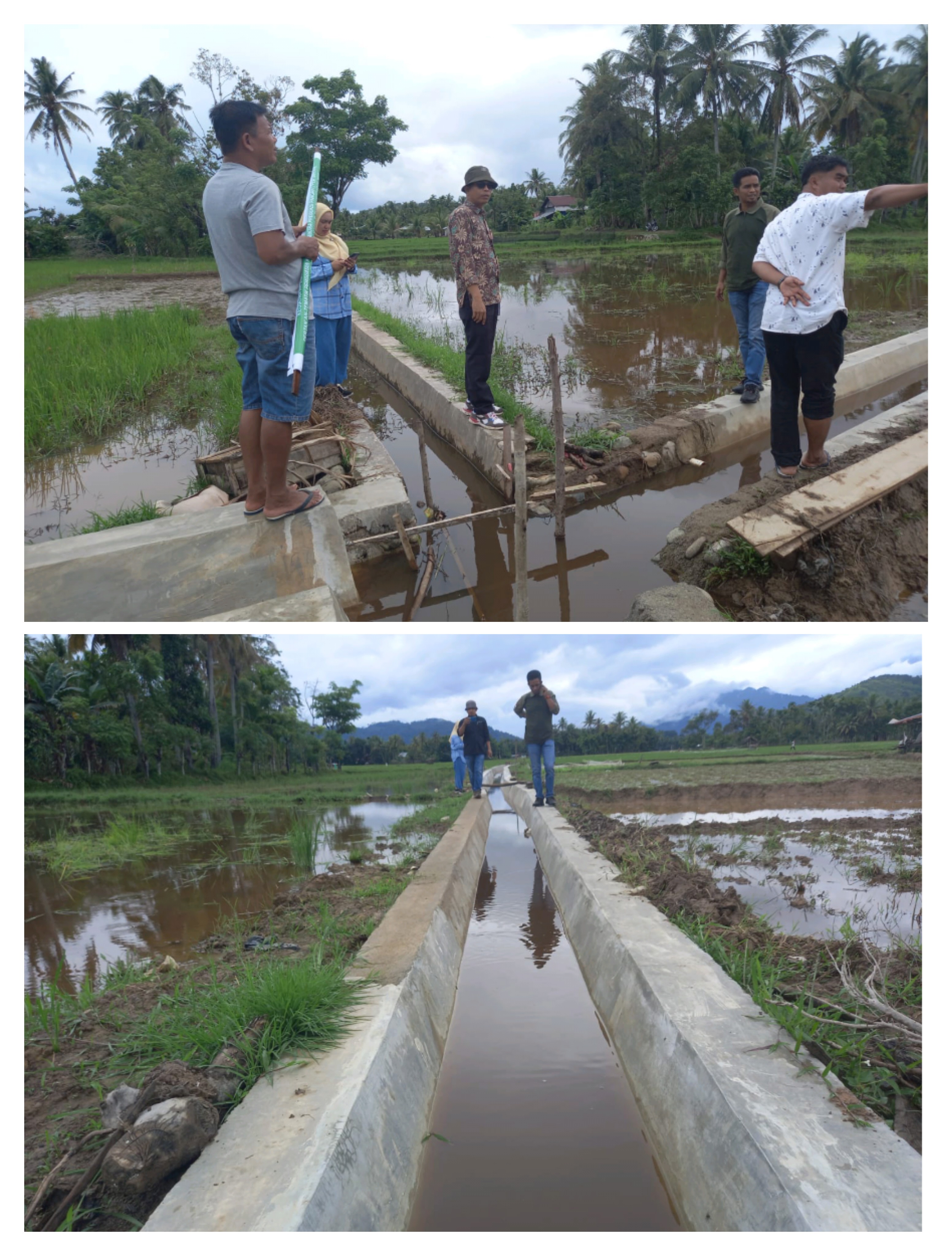 PERCEPATAN PEMBANGUNAN JARINGAN IRIGASI TERSIER DI KELOMPOK TANI MARAPALAM SAIYO NAGARI TANJUNG DURI