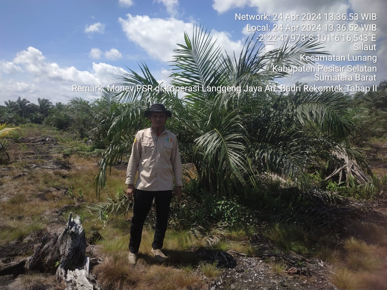 PENILAI KEMAJUAN FISIK KEBUN PADA KOPERASI SERBA USAHA JAYA BERSAMA DAN KOPERASI LANGGENG JAYA SEJAH