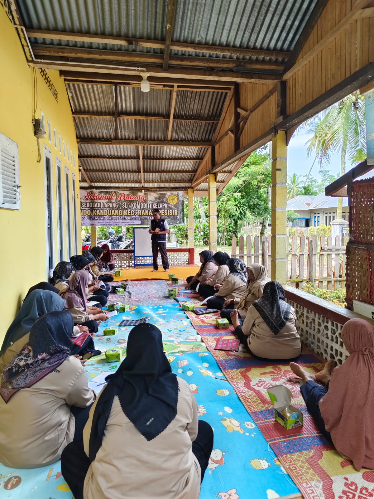 Sekolah Lapang Komoditi Kelapa Tanggal 13 Juni  2024 di Kecamatan Ranah Pesisir
