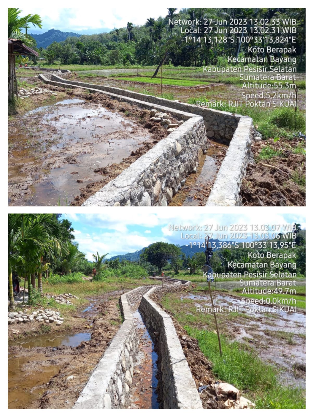 DINAS PERTANIAN KABUPATEN PESISIR SELATAN DUKUNG PEMBANGUNAN RJIT DI KELOMPOK TANI SIKUAI NAGARI KAP