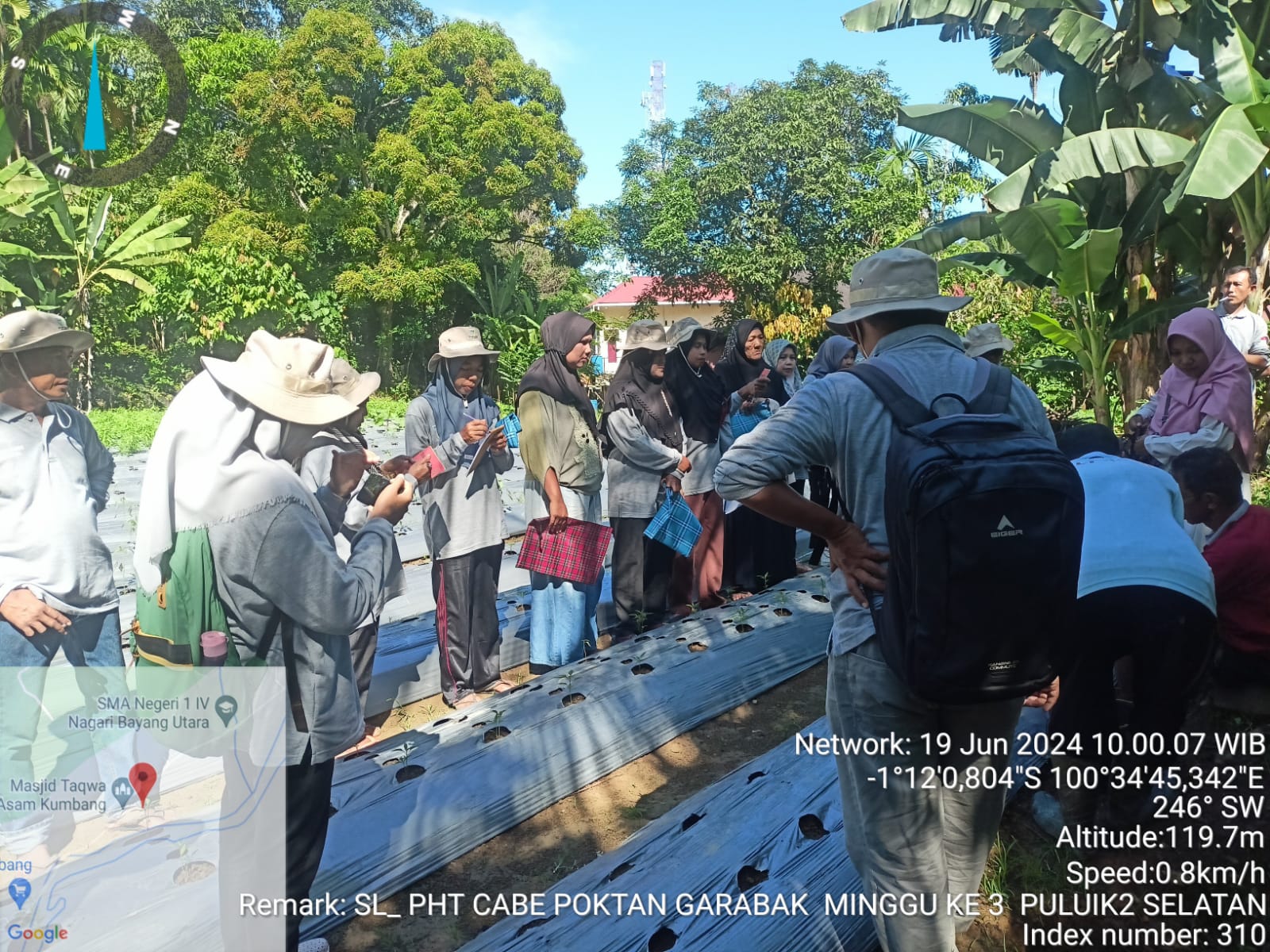 TPH-PERTEMUAN KE 3 SL PHT CABE DI BAYANG UTARA