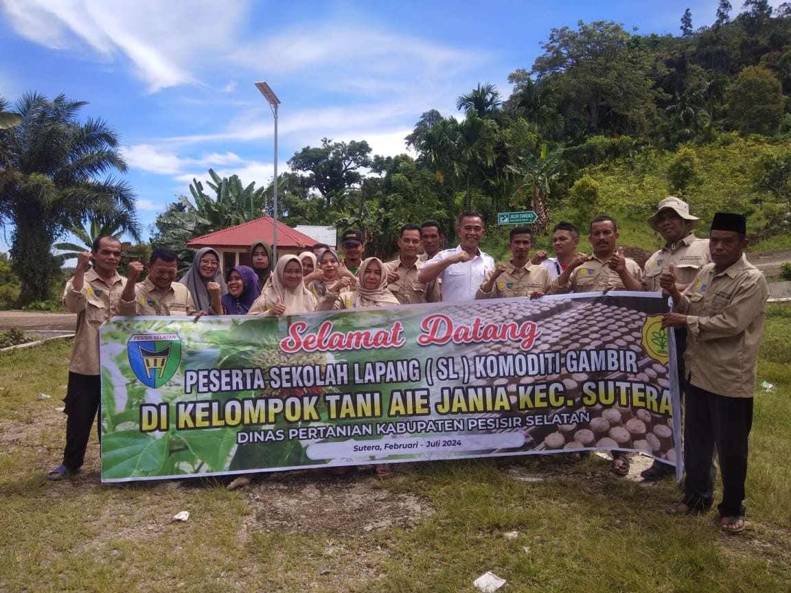 Sekolah Lapang Komoditi Gambir  Tanggal 8Mei 2024 di Kecamatan Sutera