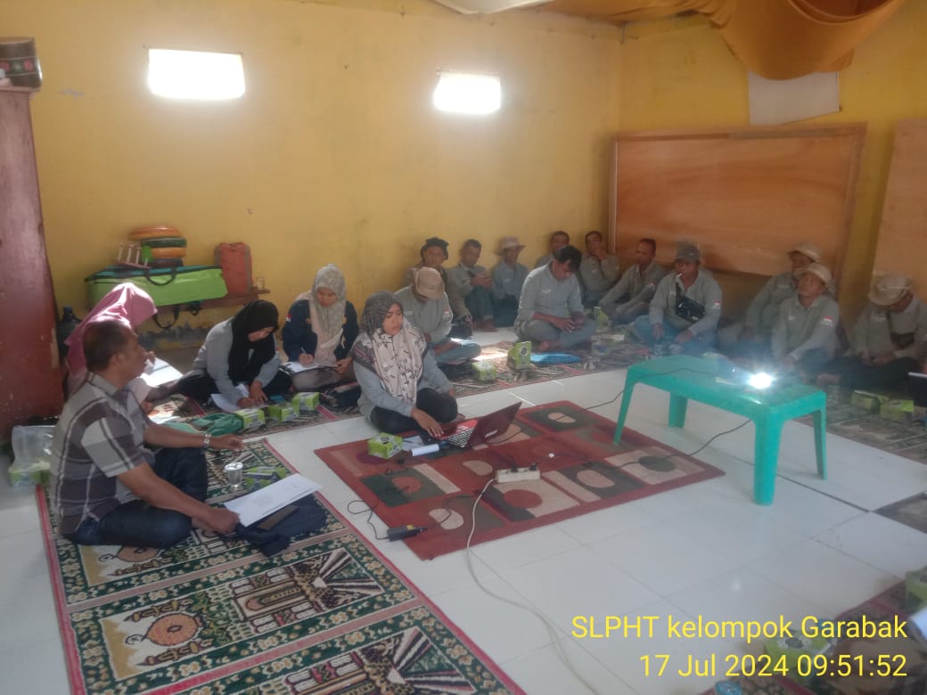 SL PHT Cabe Pertemuan Ke-5 di Kelompok Tani Garabak Kampung Asam Kumbang Nagari Puluik-Puluik Selata
