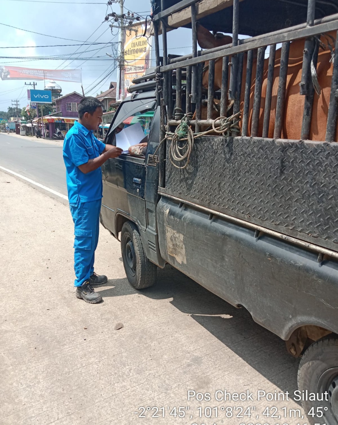 PUSKESWAN SILAUT-AKTIVITAS CHECK POINT LALU LINTAS TERNAK
