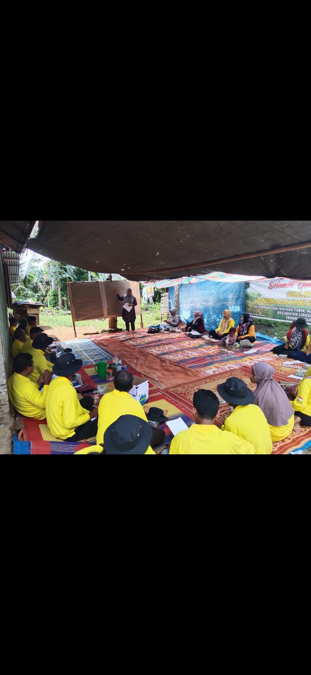ACARA KEGIATAN SL PADI SAWAH DI KELTAN BINTANG TABIK NAGARI LAGAN HILIR PUNGGASAN