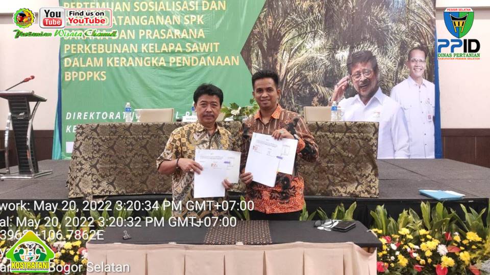 PANEN BAWANG MERAH DI KELOMPOK TANI MULYA HOLTI KENCANA
