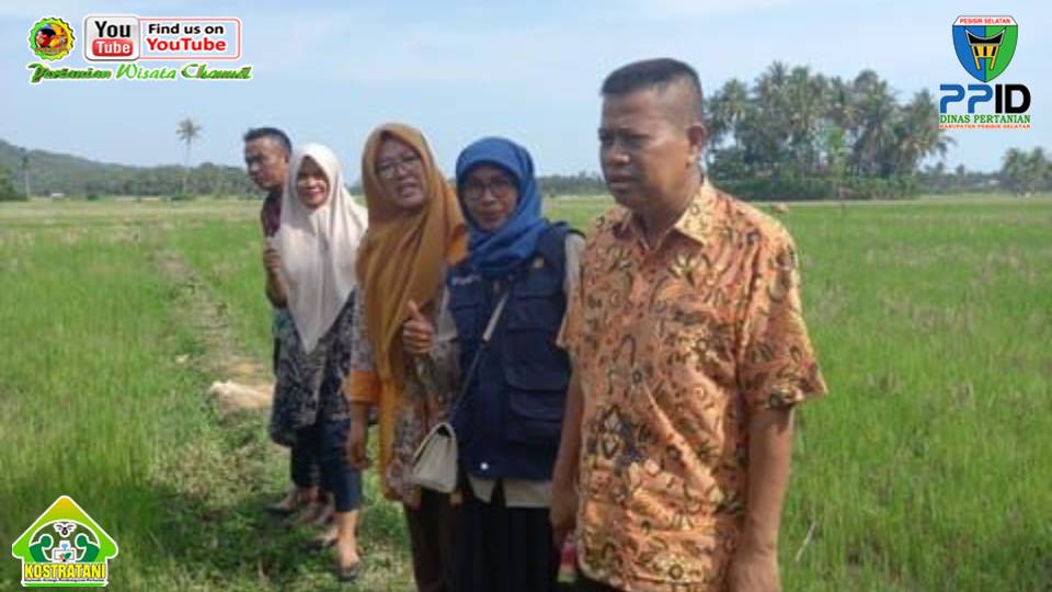 PELAYANAN PENGOBATAN HEWAN TERNAK MASYARAKAT BUKIT TINGGI TAMBANG BUNGA PASANG SALIDO