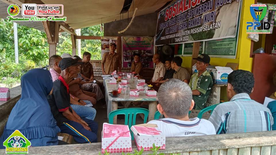 SOSIALISASI AUTSK, AUTP DAN  KUR DI KENAGARIAN GURUN PANJAN BAYANG