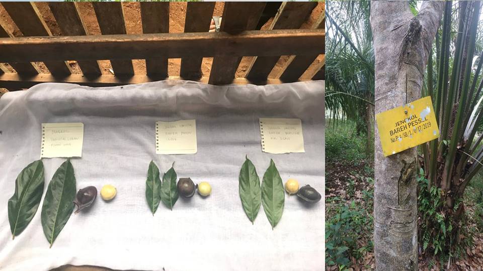 INFORMASI IKLIM PROVINSI SUMATERA BARAT UPDATE 20 FEBRUARI 2022