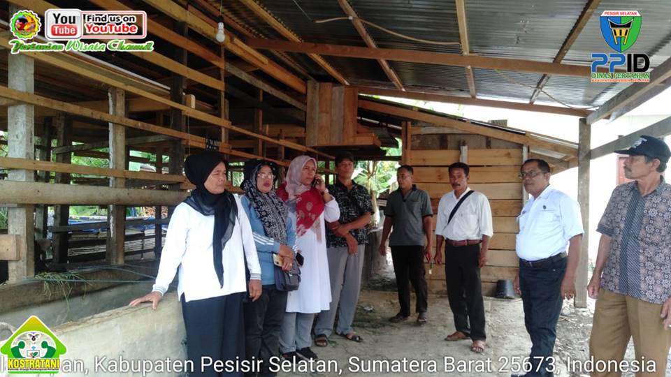 PERDANA, INFORMASI HARGA KOMODITI PERKEBUNAN TAYANG DI VIDEOTRON PESISIR SELATAN 