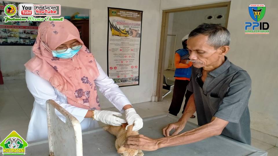 COACHING PEMETAAN RANTAI NILAI IPDMIP