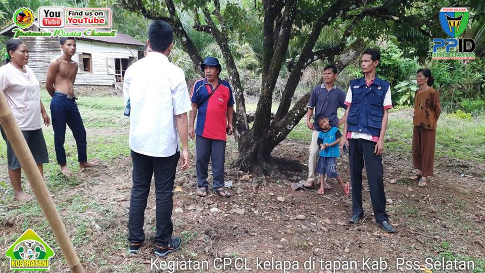 PESISIR SELATAN SIAP SUKSESKAN PELATIHAN SEJUTA PETANI DAN PENYULUH KEMENTAN