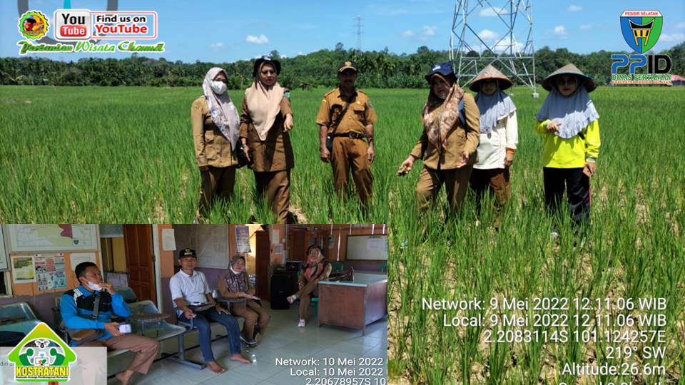 KENALI EMPAT JENIS CACING YANG PALING SERING MENGINFEKSI KUCING 