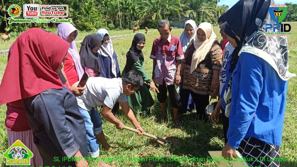 PENGENALAN PUTS PADA KEGIATAN SEKOLAH LAPANG DAERAH IRIGASI LUMPO I