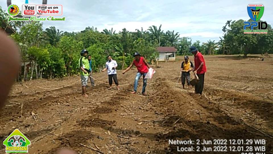 PERSIAPAN LAHAN DAN PENANAMAN DEMPLOT BPP KEC. AIRPURA