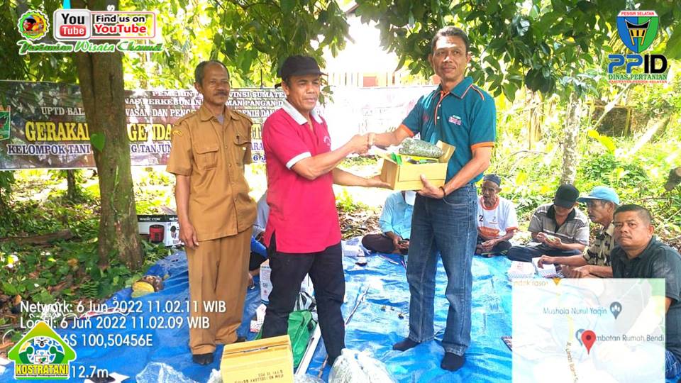 BPP KOTO XI TARUSAN DAN BP2MB LAKSANAKAN SEKOLAH LAPANG PENGENDALIAN HAMA UTAMA PERKEBUNAN