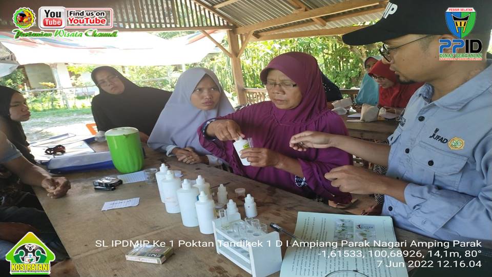 SEKOLAH LAPANG KE I POKTAN TANDIKEK I, DAERAH IRIGASI AMPING PARAK