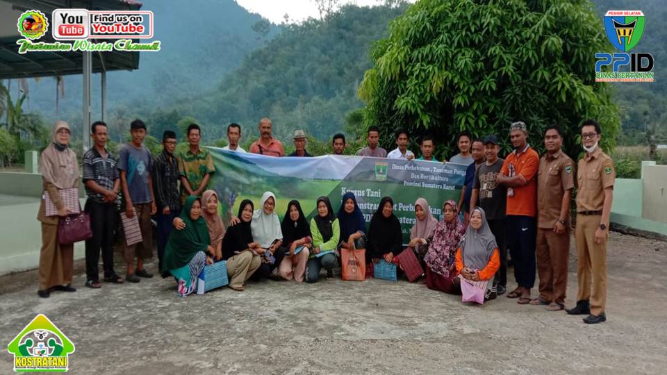 DPIU IPDMIP PESSEL, DEMPLOT BENIH BERMUTU  PENGARUHI PRODUKSI TANAMAN PADI