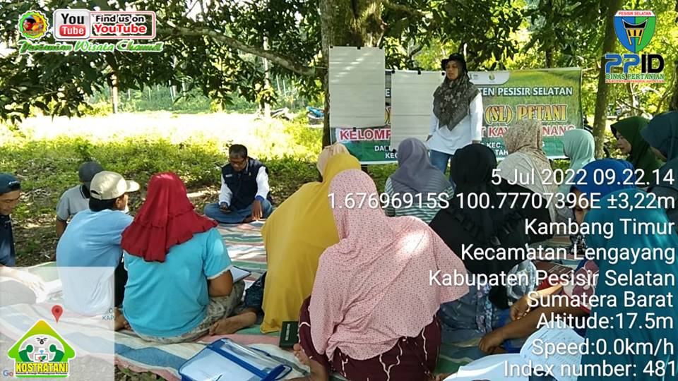 SL IPDMIP di Poktan BUKIT KAYU MANANG DI LUBUK AGUNG