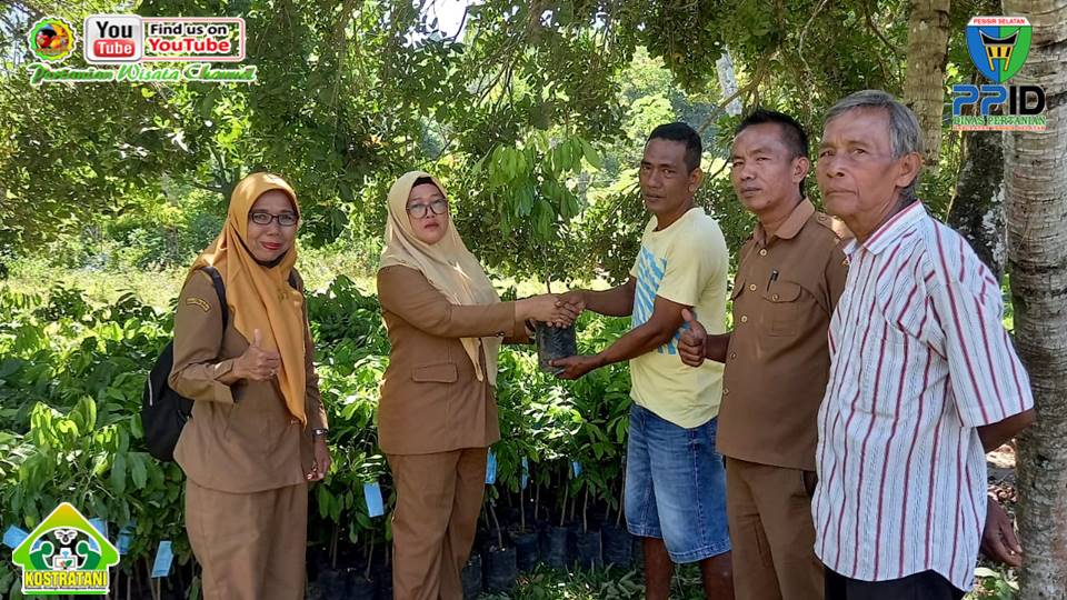 DINAS PERTANIAN KEMBANGKAN TANAMAN LENGKENG UNTUK PENUMBUHAN KAMPUNG WISATA