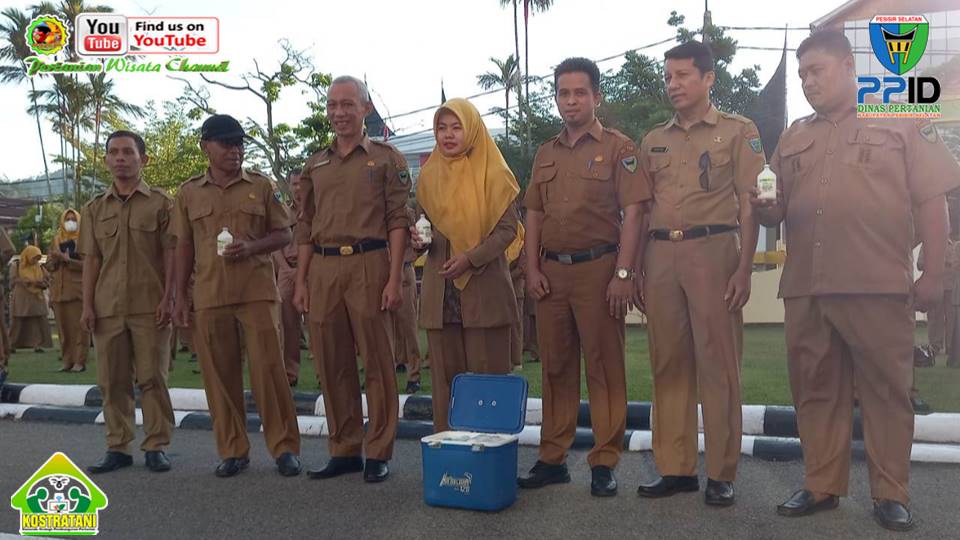 PENYERAHAN 1.800 VAKSIN UNTUK PENANGGULANGAN WABAH PMK DI KAB. PESISIR SELATAN 