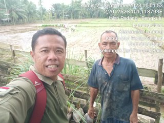 Penanaman Padi dengan Sistem Jajar Legowo 