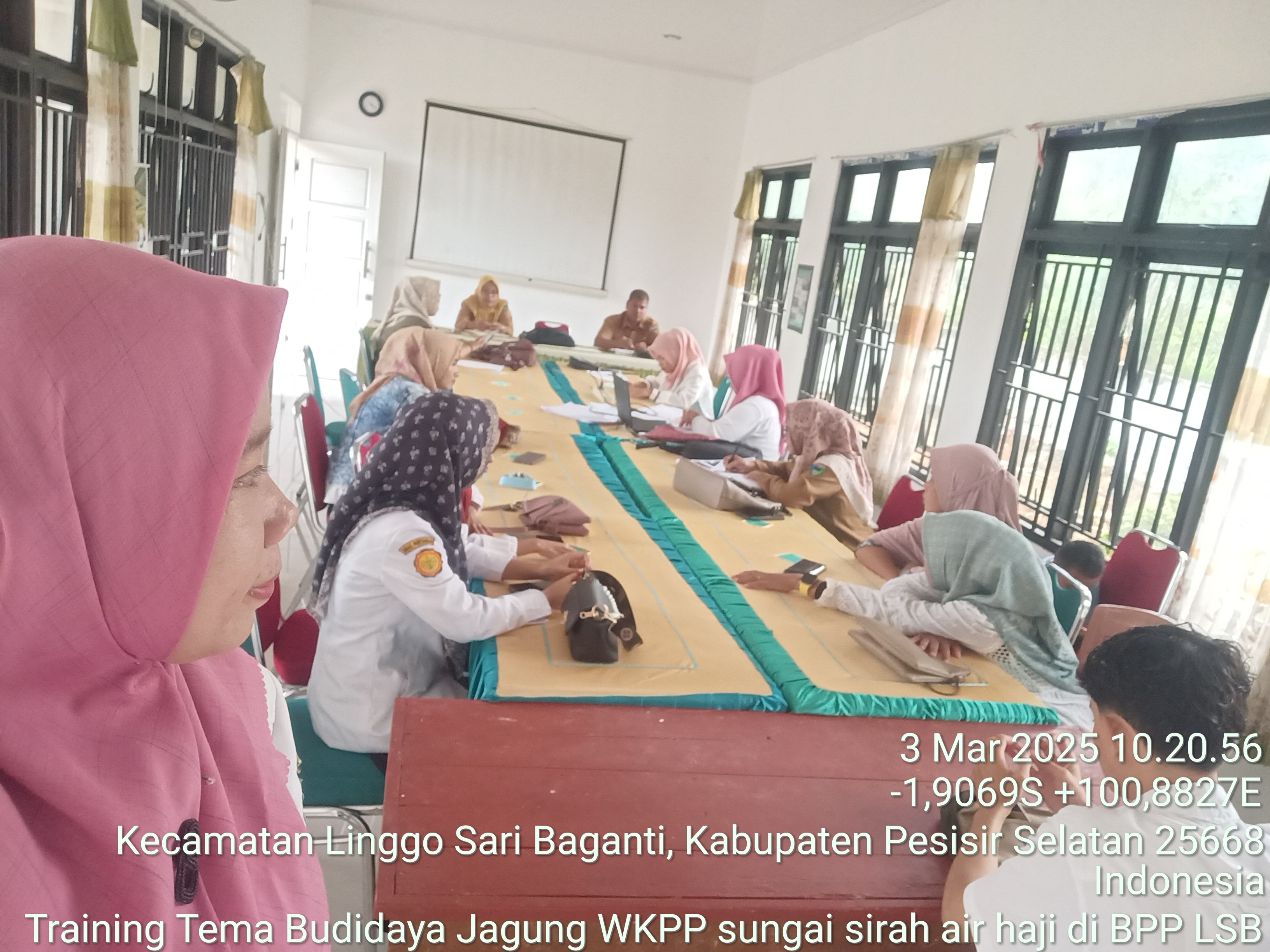 TRAINING DI BPP TEMA BUDIDAYA JAGUNG WKPP SUNGAI SIRAH AIR HAJI 