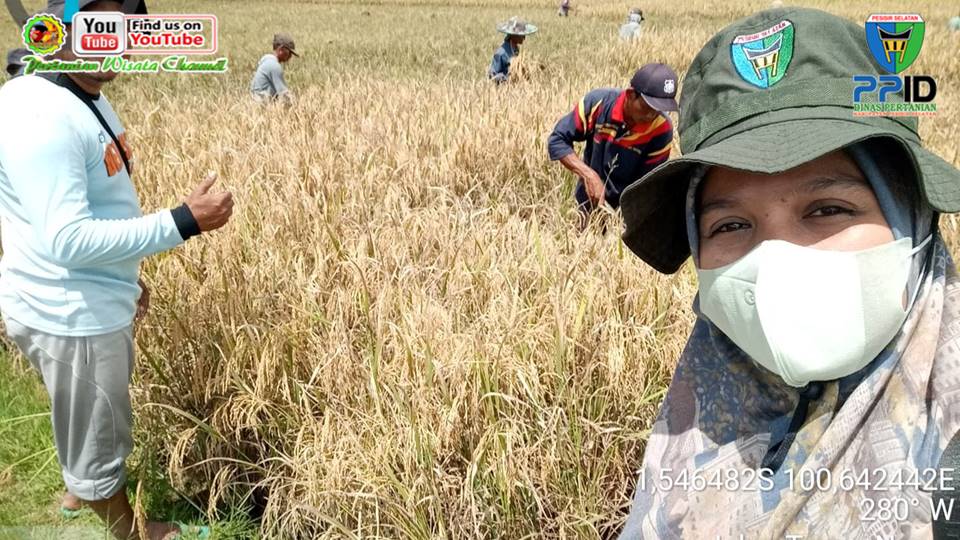 METAMORFOSA PENYULUH, MANFAATKAN PELUANG DAN KESEMPATAN UNTUK SEMAKIN EKSIST DALAM MENYULUH