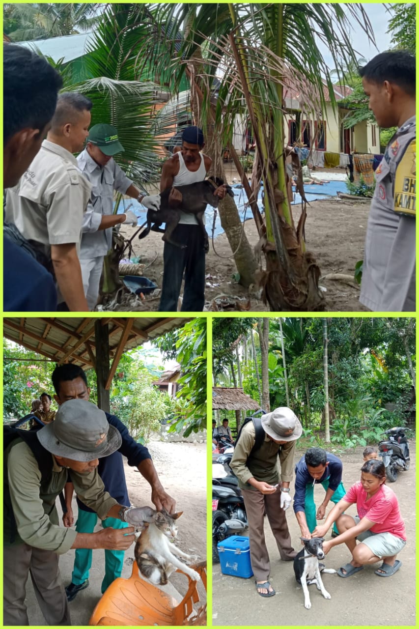 Vaksinasi Rabies Pada Hewan Pembawa Rabies di Nagari Kapuh dan Nagari Kapuh Utara Tarusan