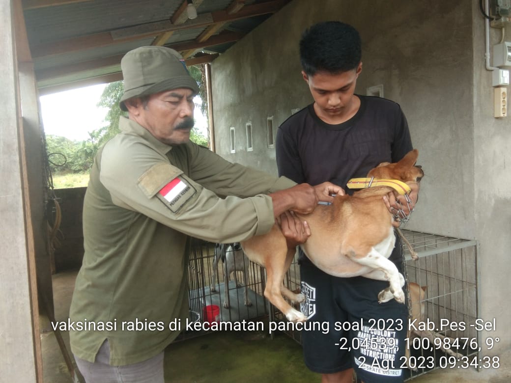 Puskeswan Inderapura Laksanakan Pelayanan Vaksinasi Rabies di Nagari Tigo Sungai Kecamatan Pancung S