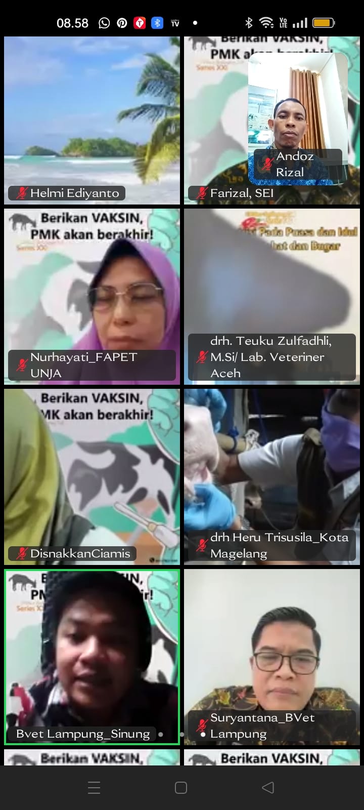 Webinar Terkait Vaksinasi PMK dari BVet Lampung