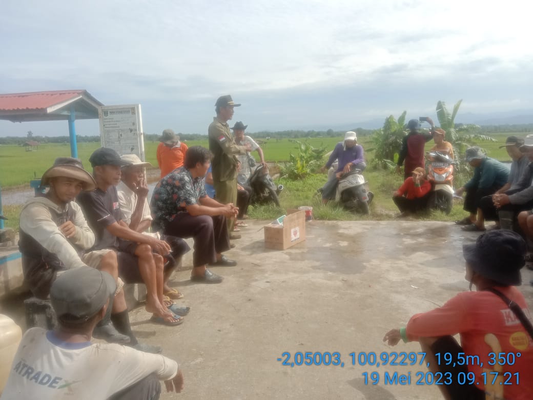 PENGENDALIAN OPT BLAS DI WKPP NAGARI TLUK KUALO INDERAPURA 