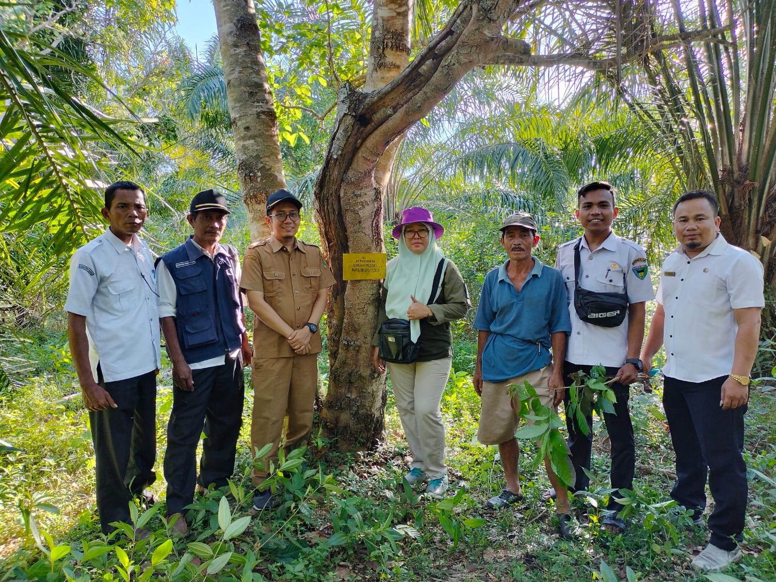 DINAS PERTANIAN LESTARIKAN JENGKOL TERENAK SEINDONESIA DI AIRPURA