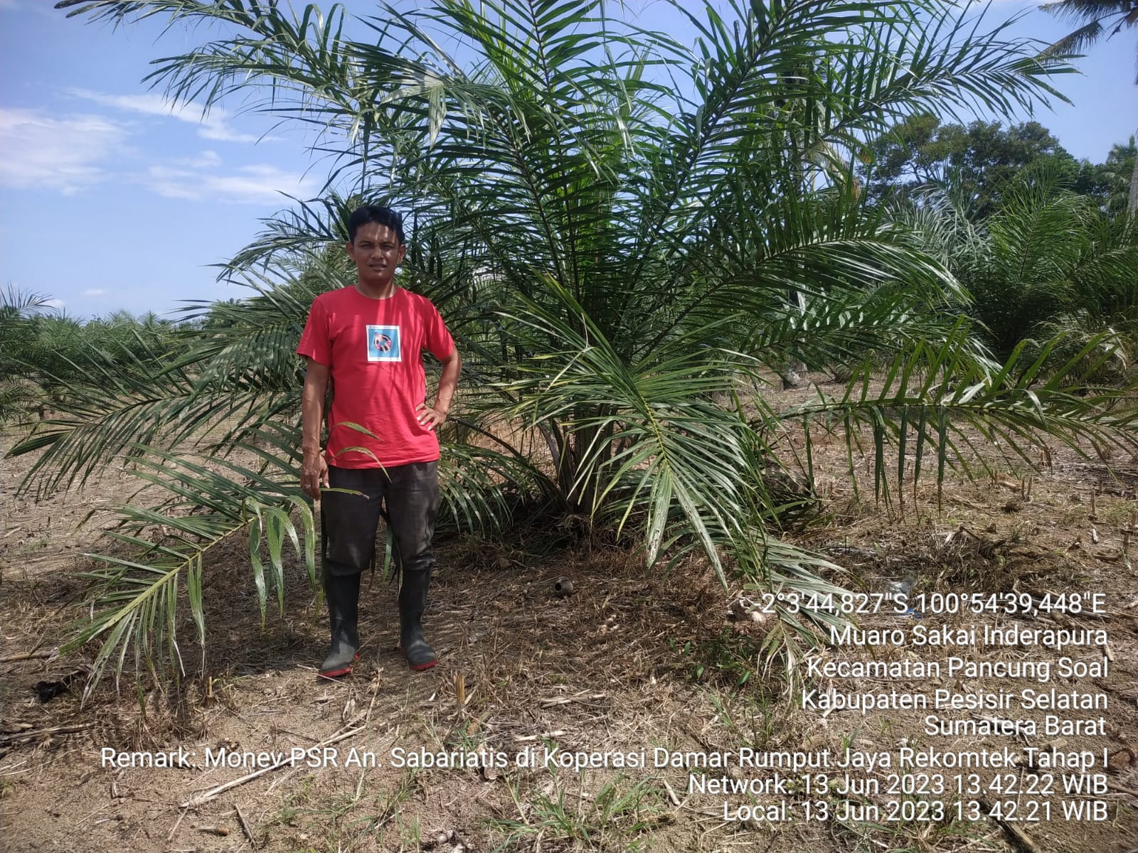 MONEV PSR DI KOPERASI DAMAR RUMPUT KECAMATAN PANCUNG SOAL