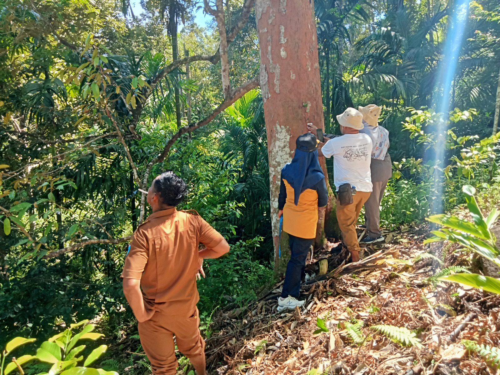 PENGULANGAN OBSERVASI POHON INDUK DURIAN LOKAL DALAM RANGKA PELEPASAN VARIETAS DURIAN LOKAL DI NAGAR