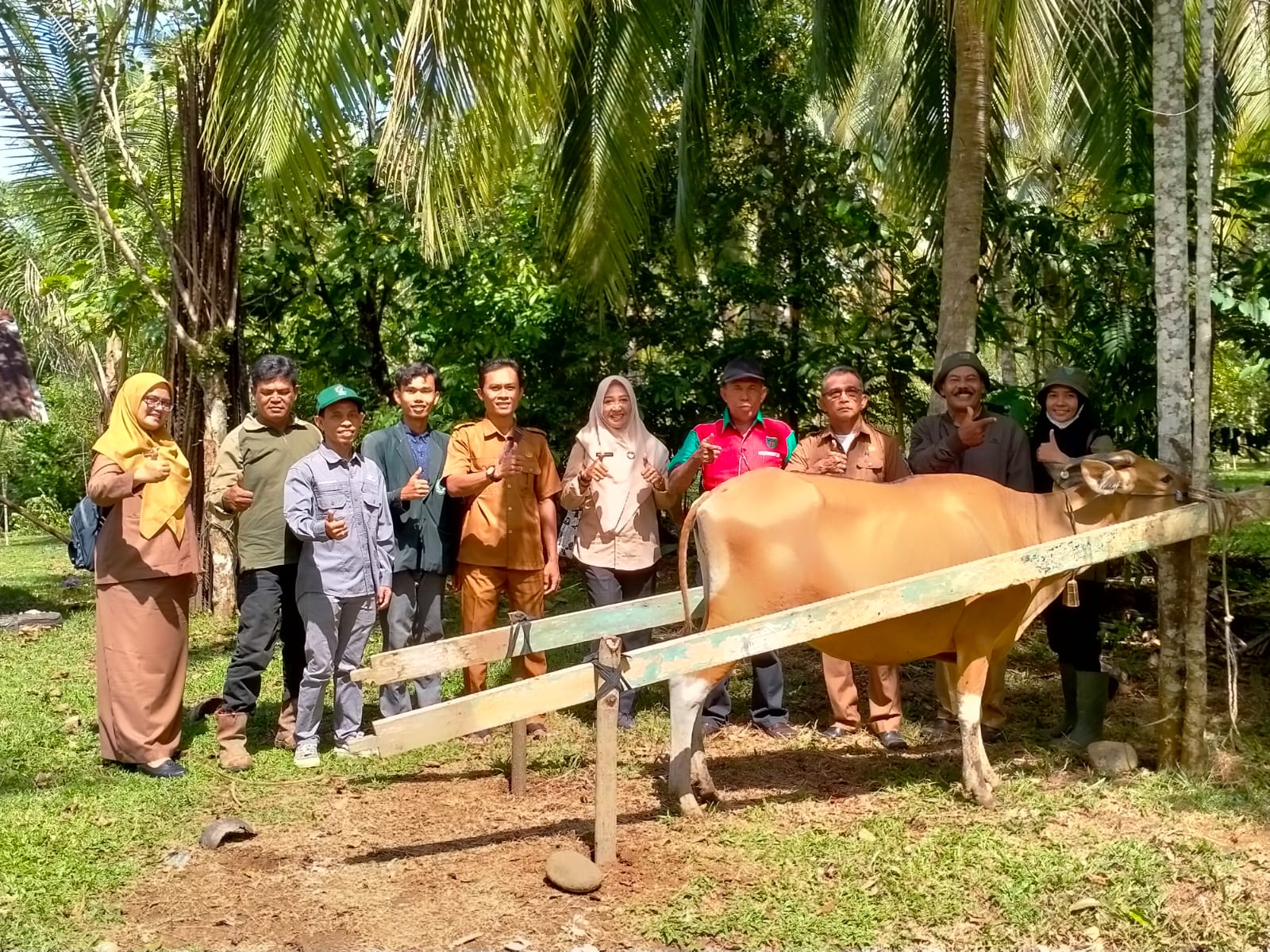 Bidang Keswan dan Kesmavet Dinas Pertanian Lakukan Monitoring Vaksinasi PMK di nagari Inderapura Uta