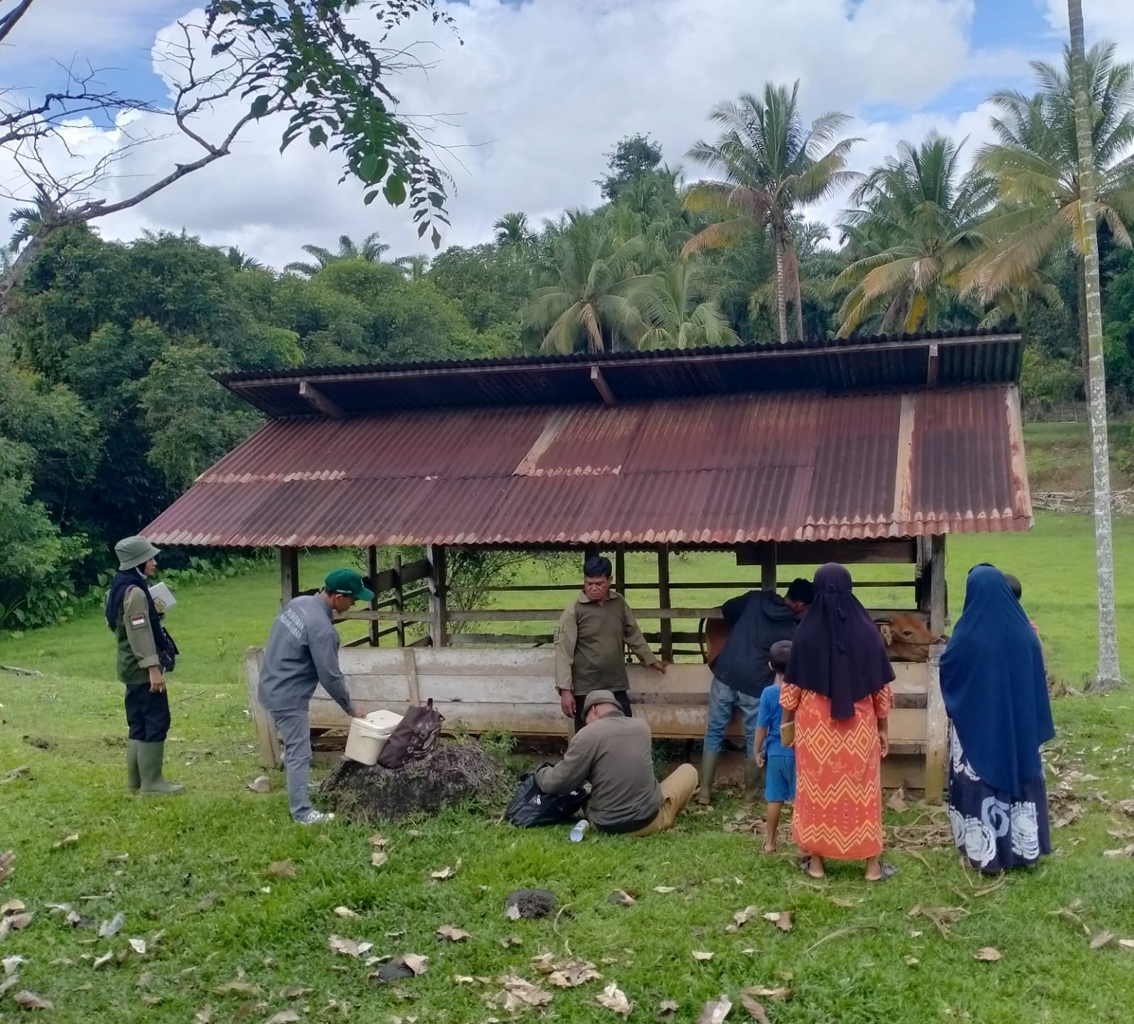 Bidang Keswan dan Kesmavet Laksanakan Monitoring Vaksinasi Jembrana di Kecamatan Air Pura 