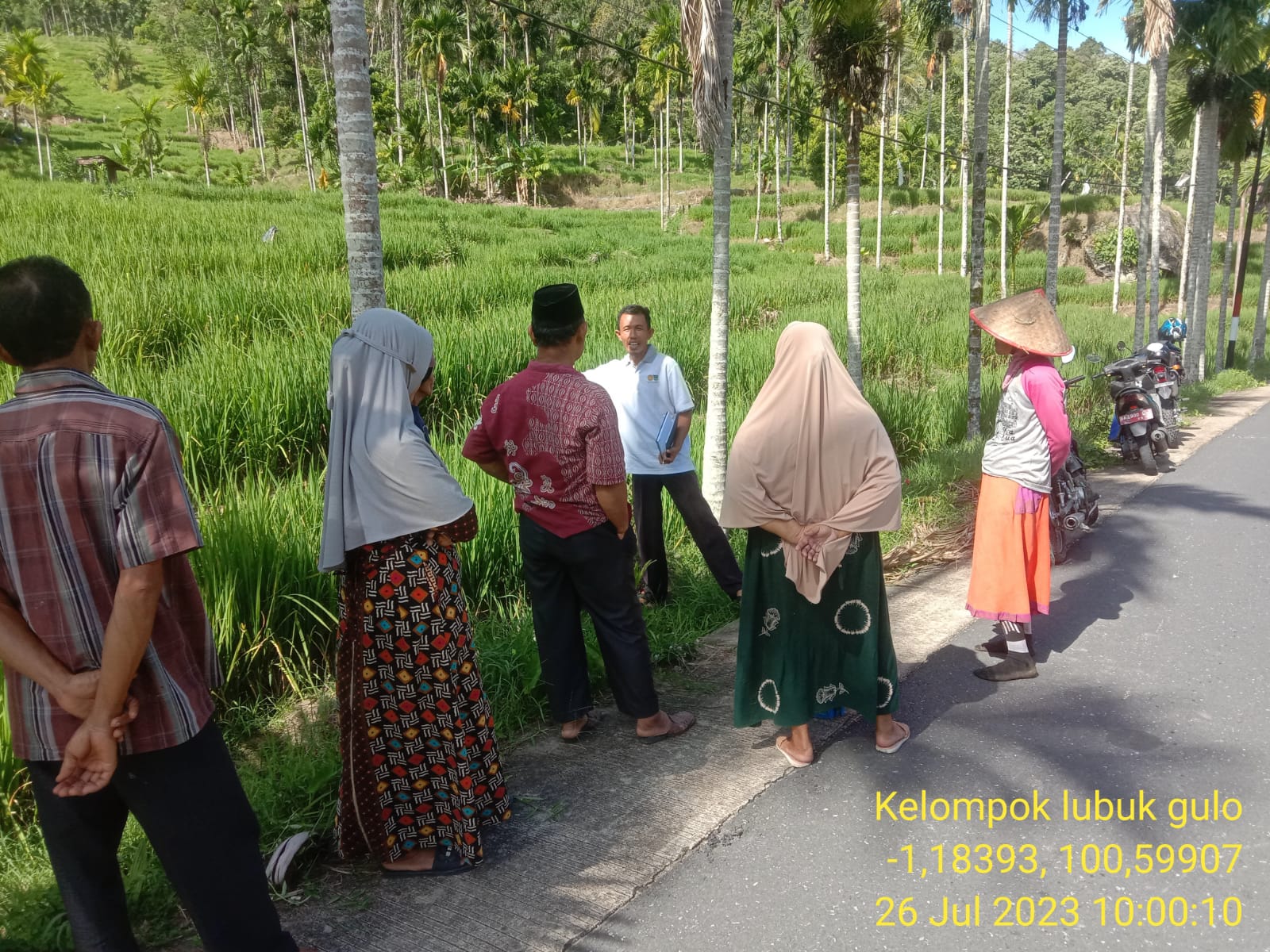 Gerakan Pengendalian Penyakit Hawar Daun di Poktan Lubuk Gulo Bayang Utara