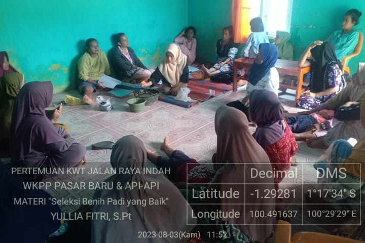  Seleksi Benih Padi Yang Baik  di KWT Jalan Raya Indah nagari pasar baru kecamatan bayang 