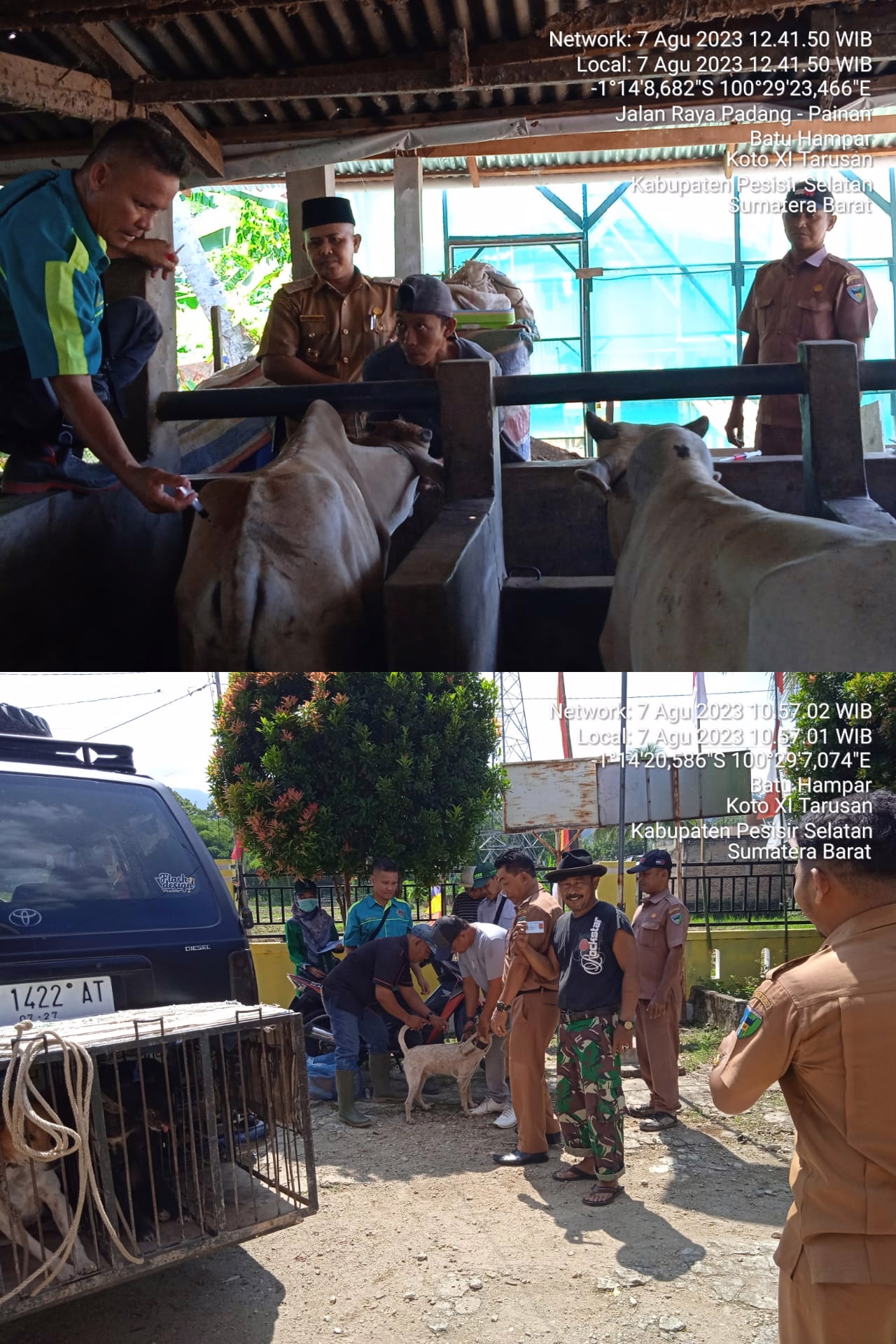 Pelaksanaan Kegiatan Vaksinasi Rabies di Nagari Batu Hampa Indu dan Batu Hampa Selatan